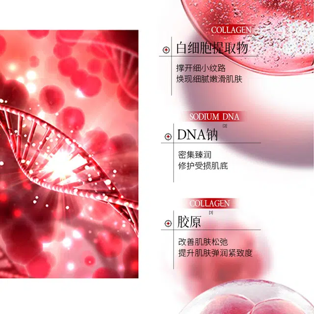 KISSMWAH DNA