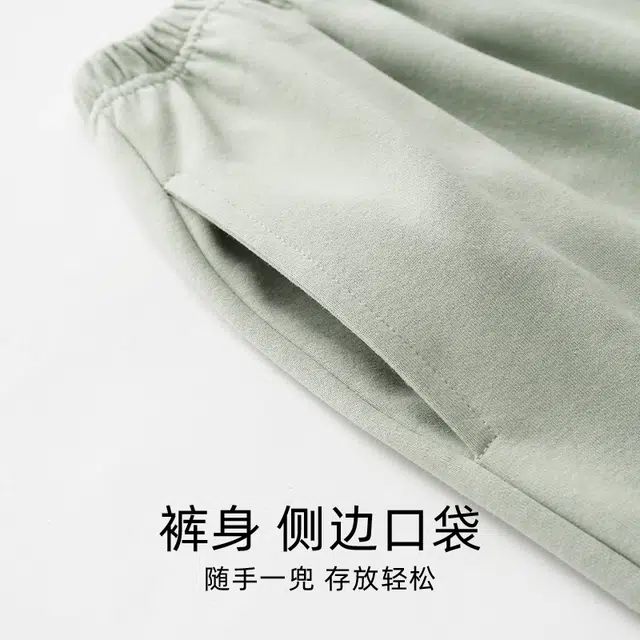 芬腾可安 简约高级感纯色休闲翻领长袖长裤睡衣套装 女款 浅绿色
