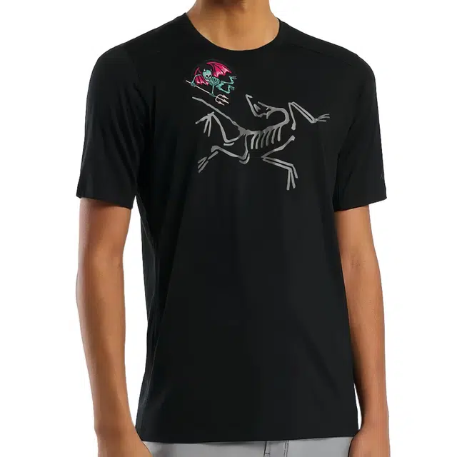 Arcteryx Ionia Merino Wool logoT -Black