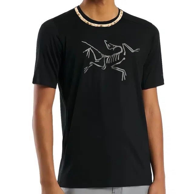 Arcteryx Ionia Merino Wool LogoT Black