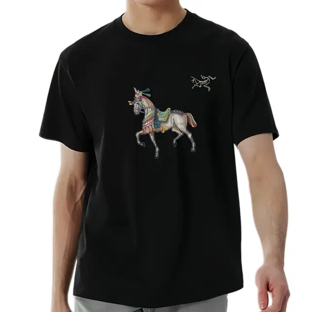 Arcteryx KRAGG logoT black