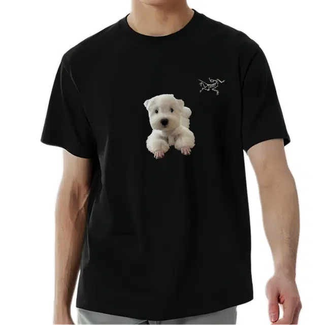 Arcteryx KRAGG Tee