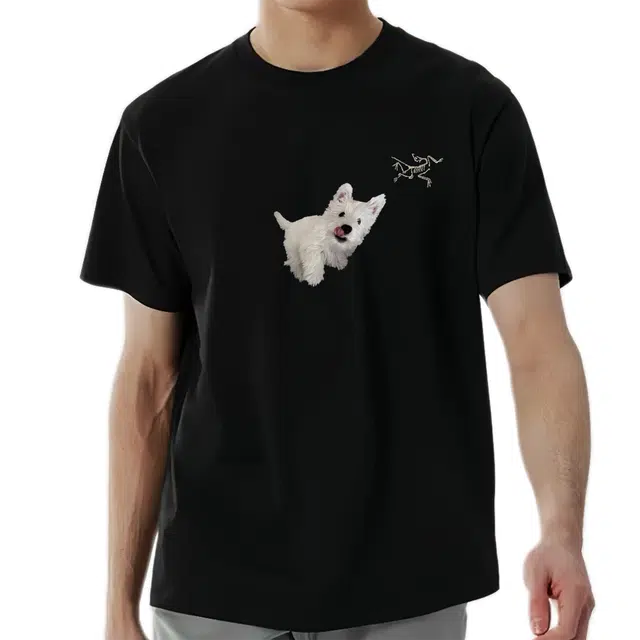 Arcteryx logoT black