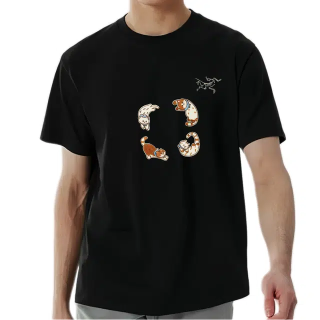 Arcteryx KRAGG SL logoT