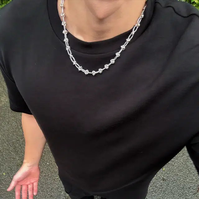 极昼 荆棘守护简约小众纯色配饰高级感个性嘻哈冷淡风男女情侣同款锁骨链 时尚潮流欧美风日常通勤百搭 钛钢 项链 男女同款情侣款