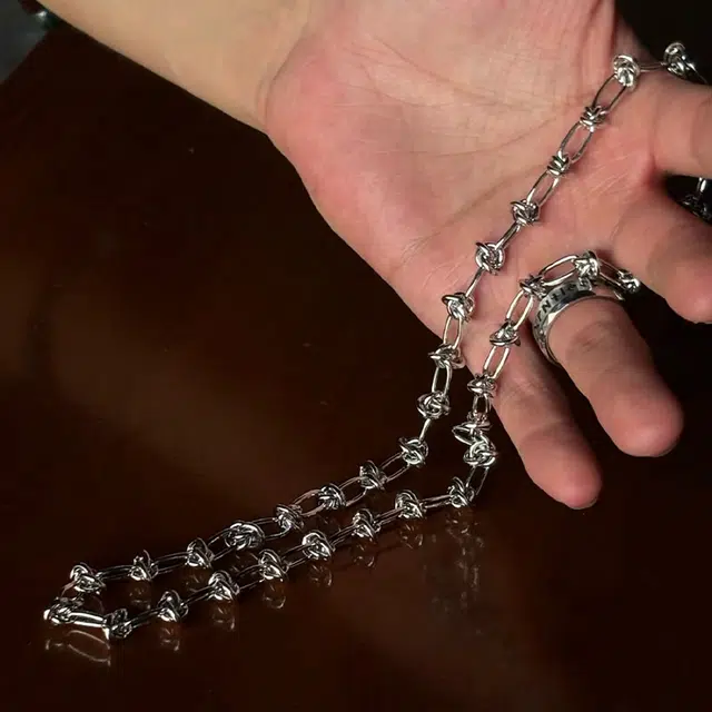 极昼 荆棘守护简约小众纯色配饰高级感个性嘻哈冷淡风男女情侣同款锁骨链 时尚潮流欧美风日常通勤百搭 钛钢 项链 男女同款情侣款