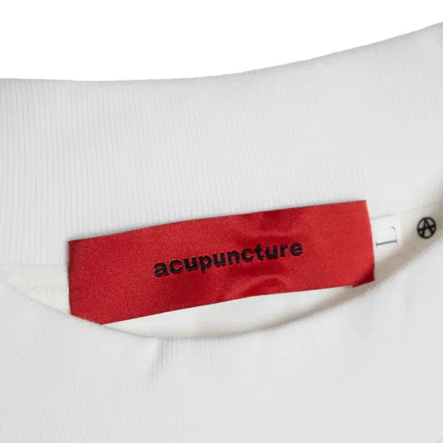 Acupuncture 2025 T