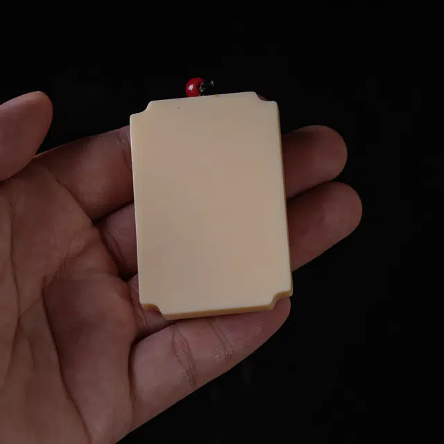 嫒柯 新中式小众高级感文玩佛珠百搭小清新轻奢招财转运珠国潮盘玩金玉满堂财运亨通#好运 象牙果 吊坠 男女同款情侣款