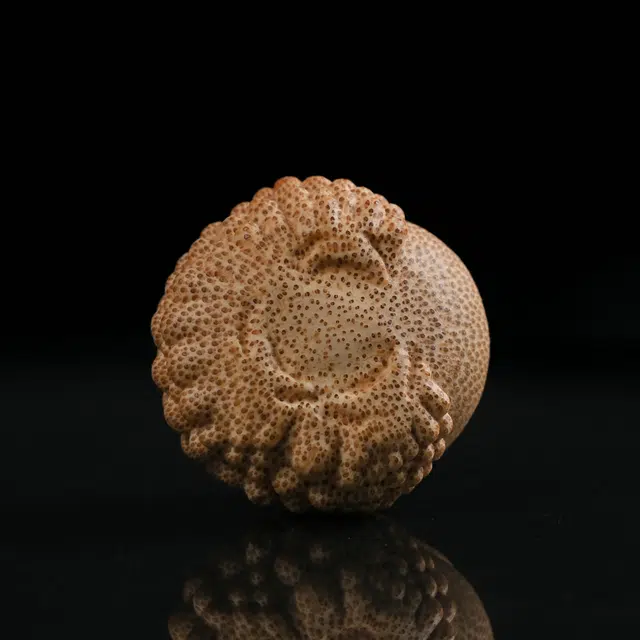 嫒柯 新中式国潮文玩 恶霸金蟾 招财纳福 诸事顺遂 万事日益 竹木 手把件 男女同款情侣款