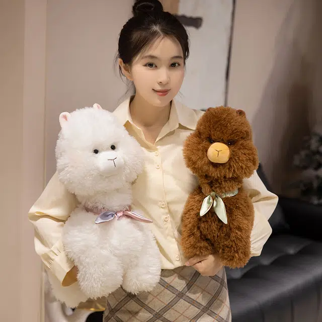 22cm35cm45cm