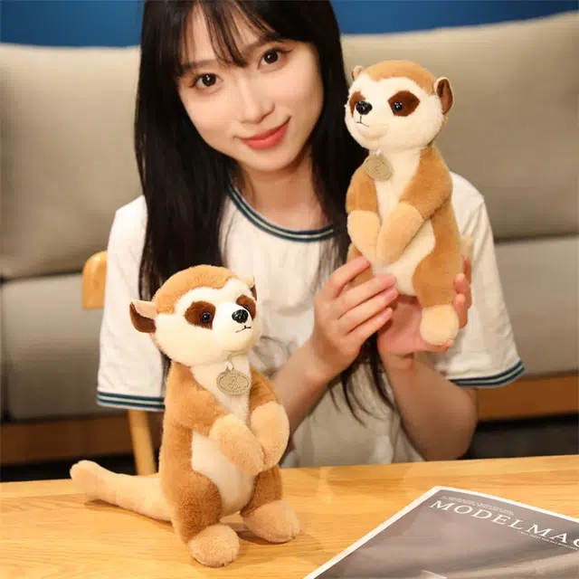 26cm