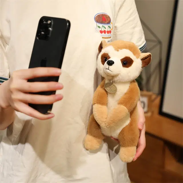 26cm