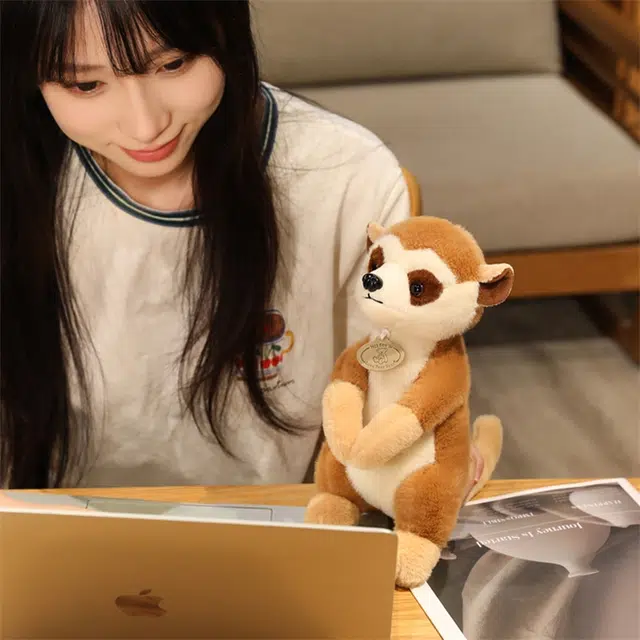 26cm