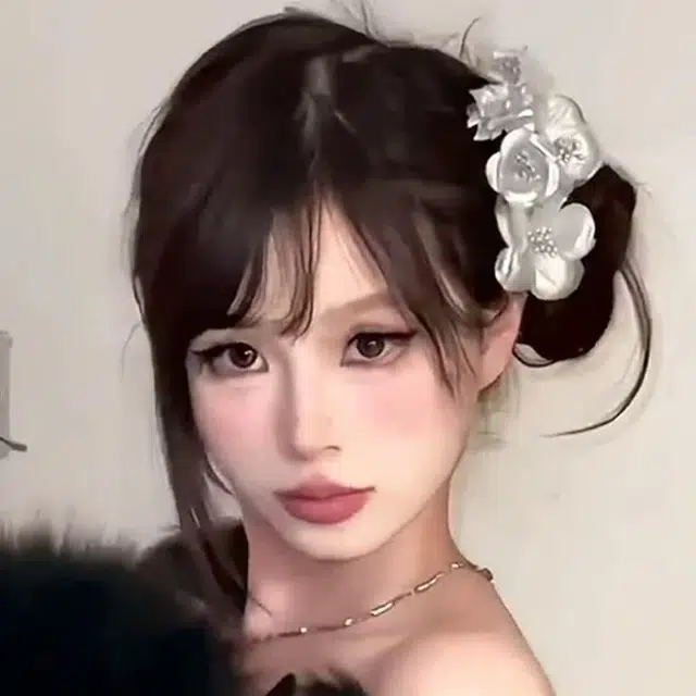 希铃 法式温柔银色花朵氛围感 网纱 发夹 女款