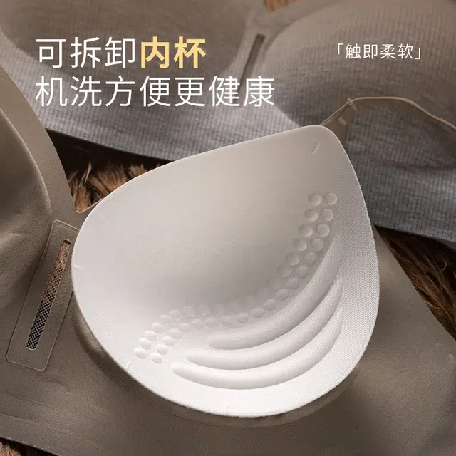 都市丽人 简约纯色运动风小胸聚拢内衣无钢圈防下垂舒适文胸 女款
