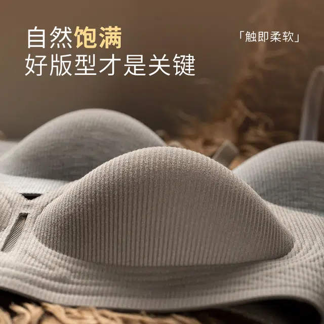都市丽人 简约纯色运动风小胸聚拢内衣无钢圈防下垂舒适文胸 女款