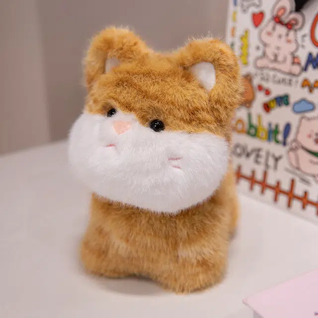 20cm30cm
