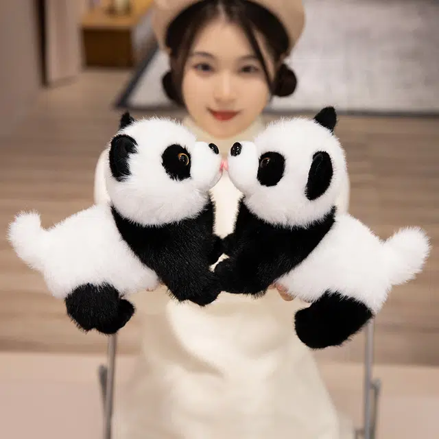 40cm22cm