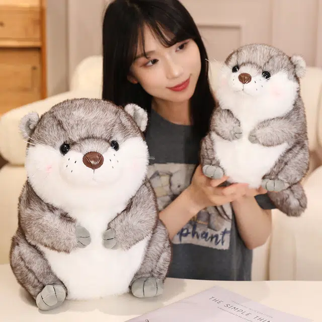 20cm25cm35cm