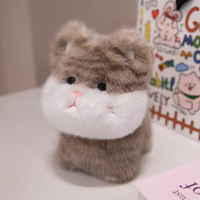 20cm30cm
