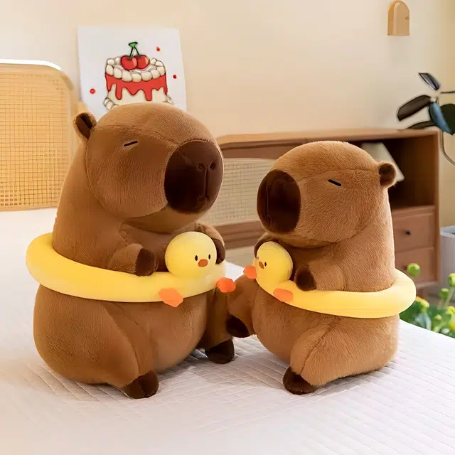 30cm40cm