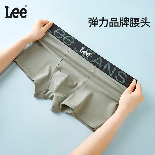 Lee 4