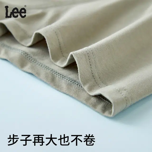Lee 4