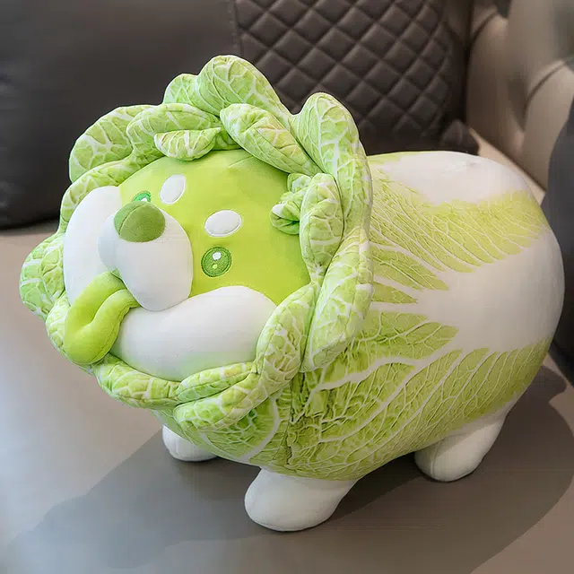 22cm30cm