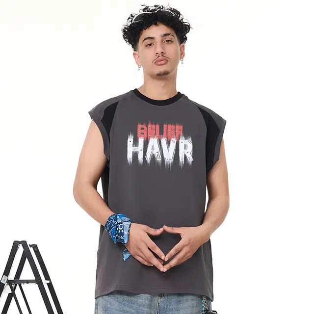 HAVR Logo