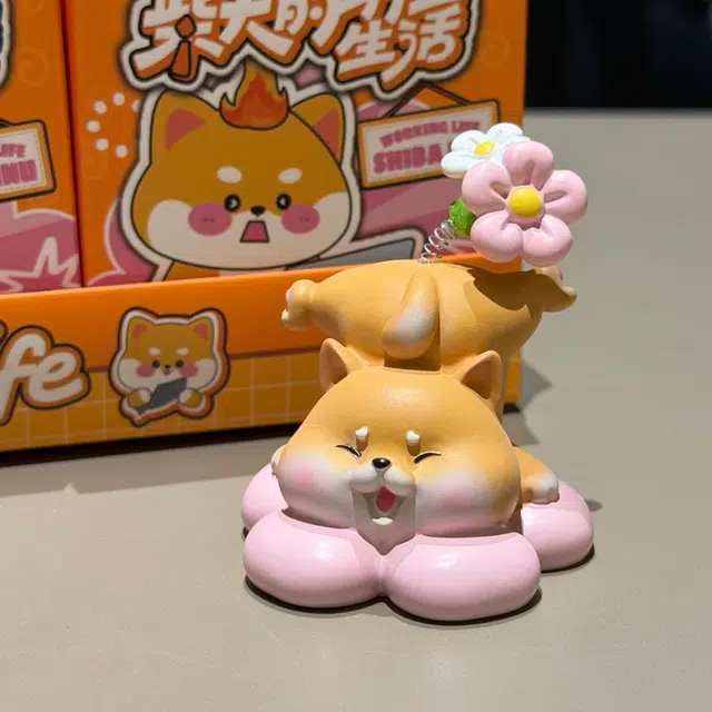 PUDOWRABBIT 6