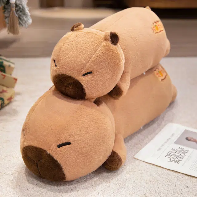 PUDOWRABBIT 60cm80cm
