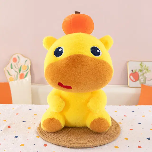 30cm40cm