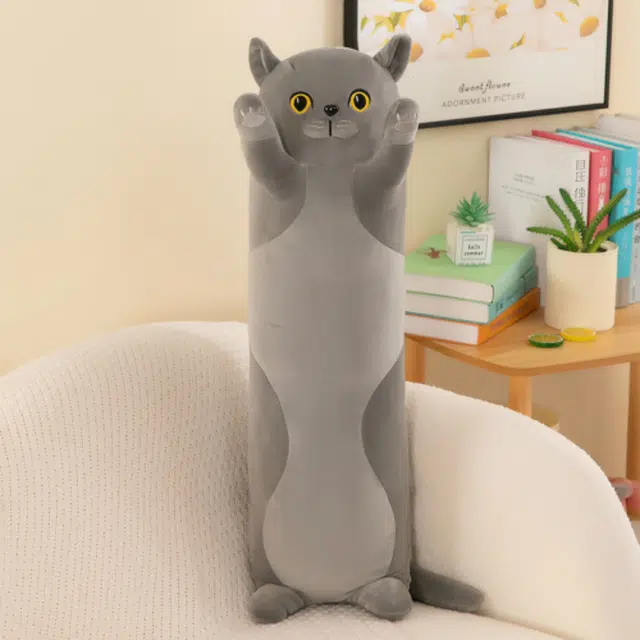 50cm