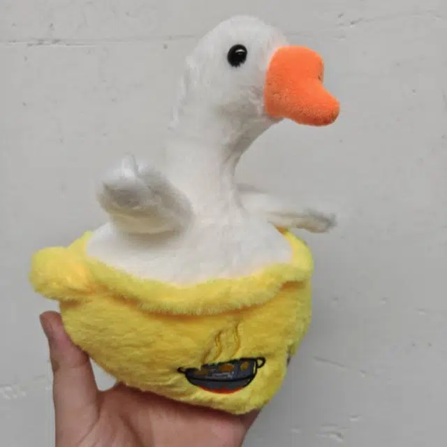 23cm