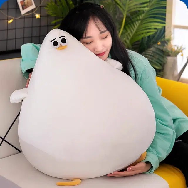 26cm