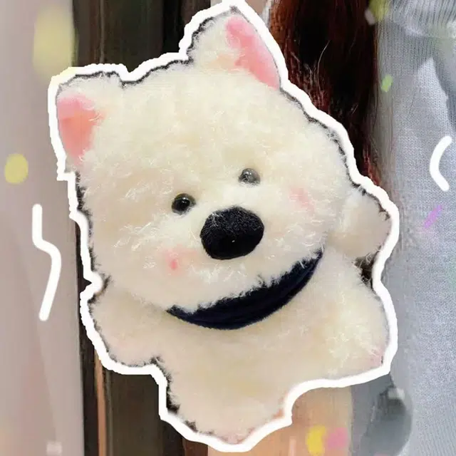 23cm