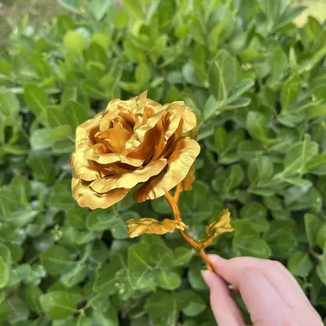 悦米乐 蚀金玫瑰手工摆件玫瑰花 金箔玫瑰花 永不凋谢的爱情象征 其他静态模型