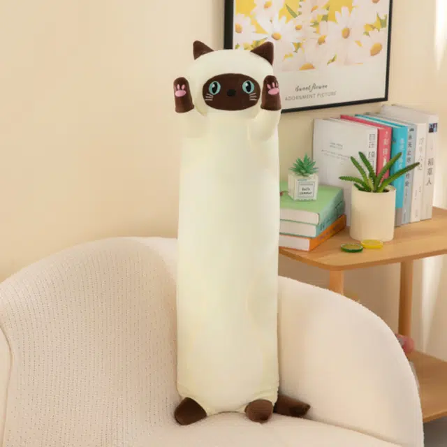 50cm