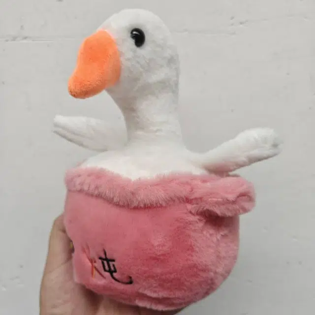23cm
