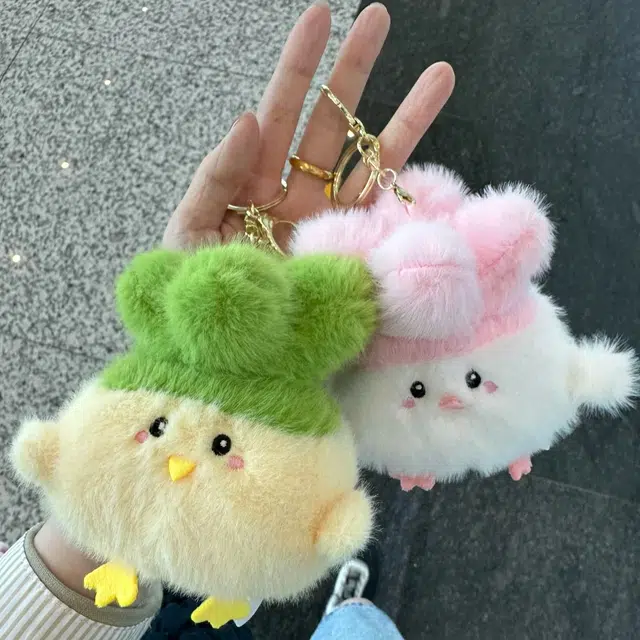 abay 10cm