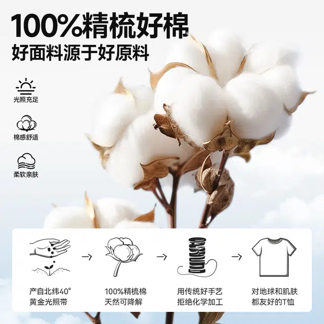 MINISO insT 2