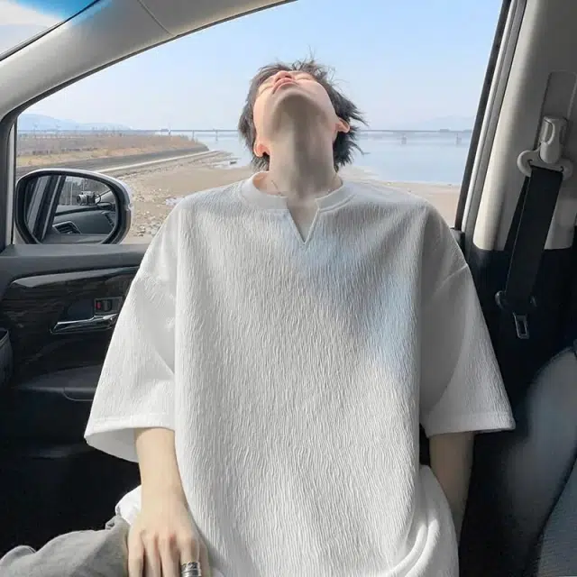 ZOTRANS vT