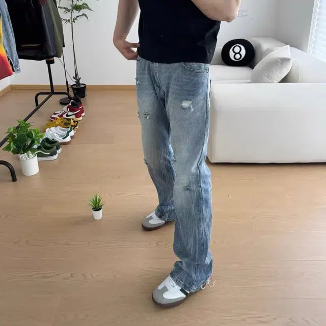ZOTRANS vibe