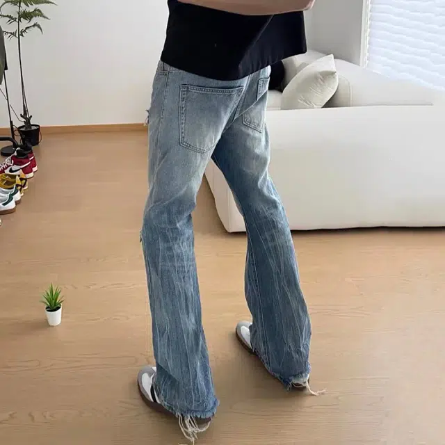 ZOTRANS vibe