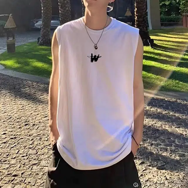 CTIDESTRAW Wt