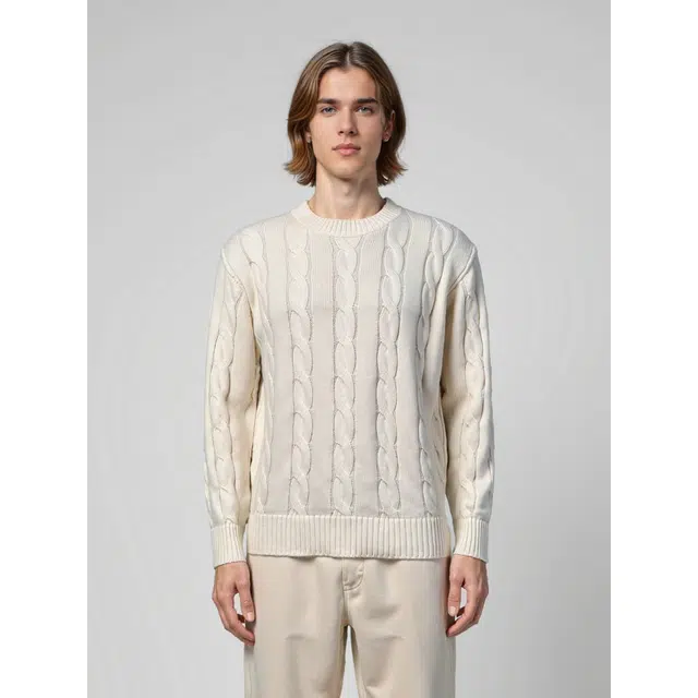 艾梵斯贝 美式复古学院风经典麻花纹高级感纯色柔软亲肤法式慵懒风日常通勤百搭简约内搭打底衫休闲商务质感轻奢圆领毛衣 男款