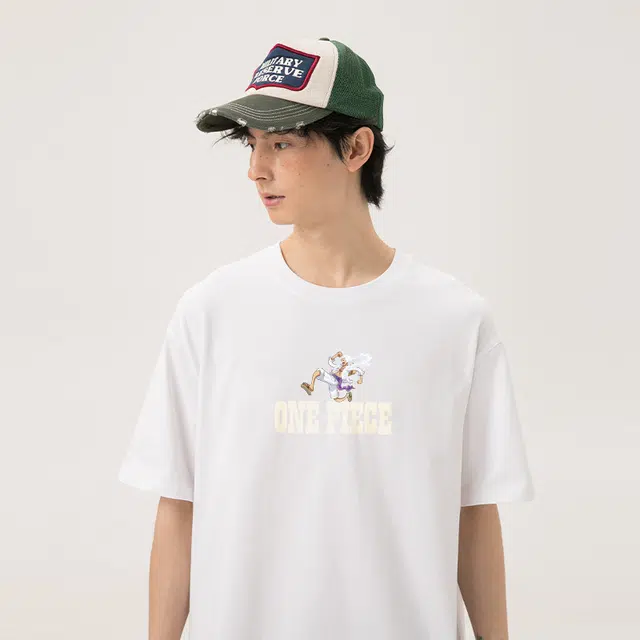 ONE PIECE insT