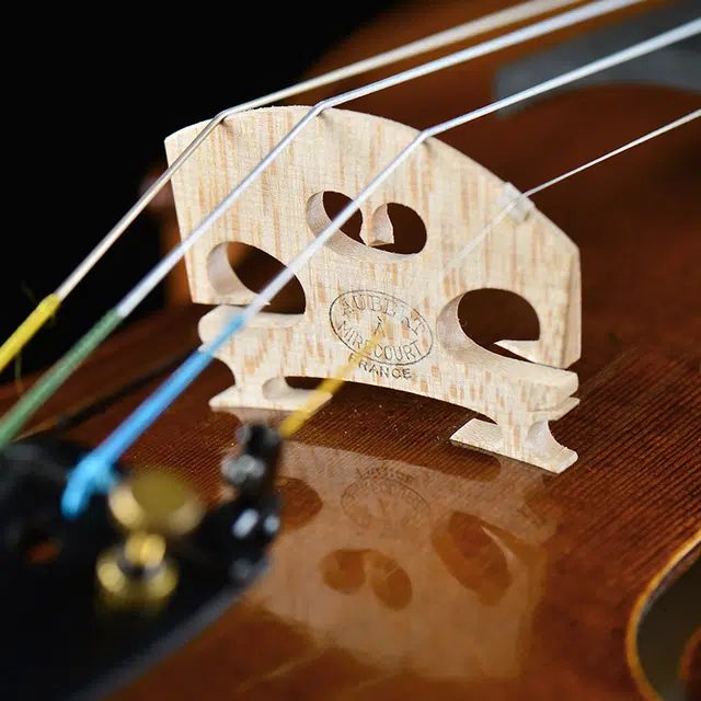 SCOTT CAO STV-750E 44