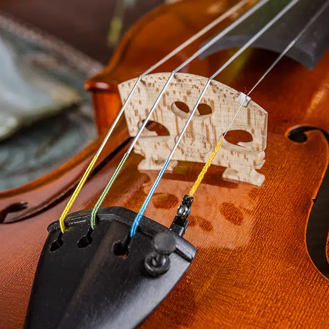 SCOTT CAO STV-850 44