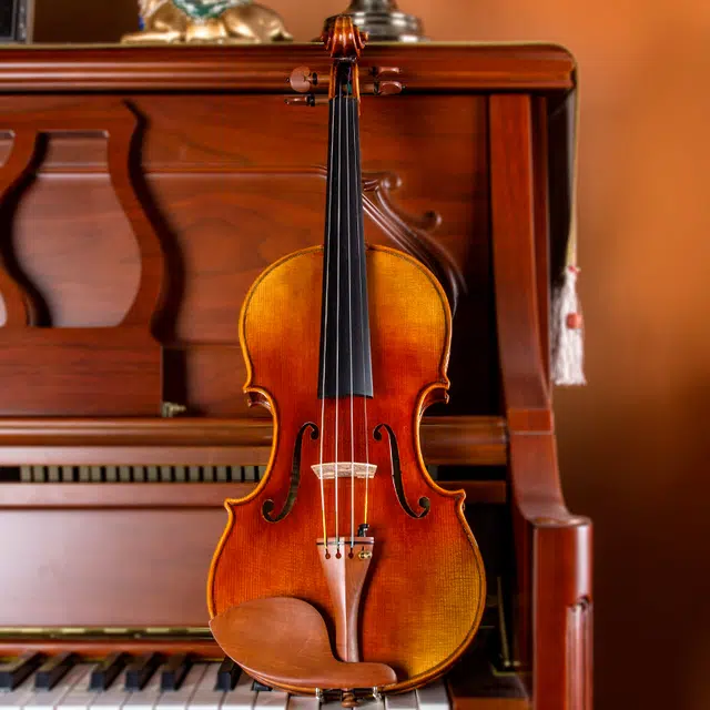 SCOTT CAO STV-900 900 44